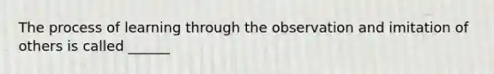 The process of learning through the observation and imitation of others is called ______