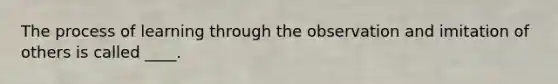 The process of learning through the observation and imitation of others is called ____.