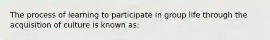 The process of learning to participate in group life through the acquisition of culture is known as: