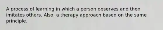 A process of learning in which a person observes and then imitates others. Also, a therapy approach based on the same principle.