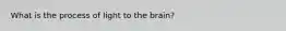 What is the process of light to the brain?