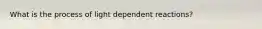 What is the process of light dependent reactions?