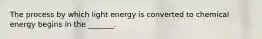 The process by which light energy is converted to chemical energy begins in the _______.