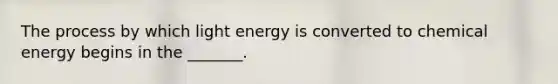 The process by which light energy is converted to chemical energy begins in the _______.