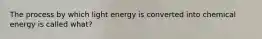 The process by which light energy is converted into chemical energy is called what?