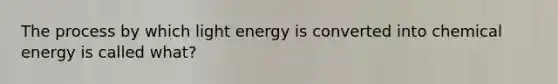 The process by which light energy is converted into chemical energy is called what?