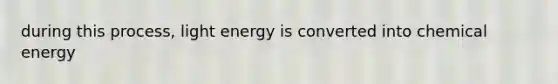 during this process, light energy is converted into chemical energy