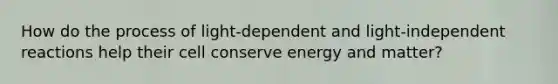 How do the process of light-dependent and light-independent reactions help their cell conserve energy and matter?