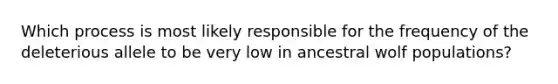 Which process is most likely responsible for the frequency of the deleterious allele to be very low in ancestral wolf populations?