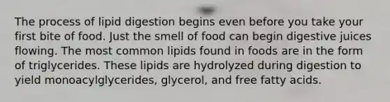 The process of lipid digestion begins even before you take your first bite of food. Just the smell of food can begin digestive juices flowing. The most common lipids found in foods are in the form of triglycerides. These lipids are hydrolyzed during digestion to yield monoacylglycerides, glycerol, and free fatty acids.