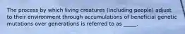 The process by which living creatures (including people) adjust to their environment through accumulations of beneficial genetic mutations over generations is referred to as _____.