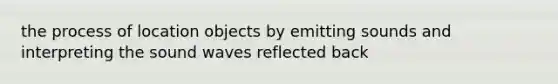 the process of location objects by emitting sounds and interpreting the sound waves reflected back