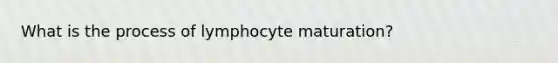 What is the process of lymphocyte maturation?