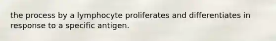 the process by a lymphocyte proliferates and differentiates in response to a specific antigen.