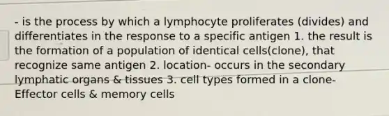 - is the process by which a lymphocyte proliferates (divides) and differentiates in the response to a specific antigen 1. the result is the formation of a population of identical cells(clone), that recognize same antigen 2. location- occurs in the secondary lymphatic organs & tissues 3. cell types formed in a clone-Effector cells & memory cells