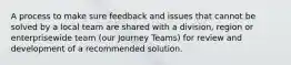 A process to make sure feedback and issues that cannot be solved by a local team are shared with a division, region or enterprisewide team (our Journey Teams) for review and development of a recommended solution.