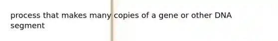 process that makes many copies of a gene or other DNA segment