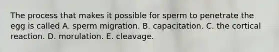 The process that makes it possible for sperm to penetrate the egg is called A. sperm migration. B. capacitation. C. the cortical reaction. D. morulation. E. cleavage.