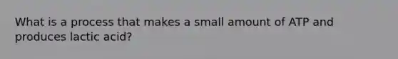 What is a process that makes a small amount of ATP and produces lactic acid?