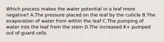 Which process makes the water potential in a leaf more negative? A.The pressure placed on the leaf by the cuticle B.The evaporation of water from within the leaf C.The pumping of water into the leaf from the stem D.The increased K+ pumped out of guard cells