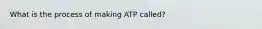 What is the process of making ATP called?