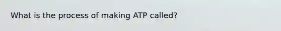 What is the process of making ATP called?