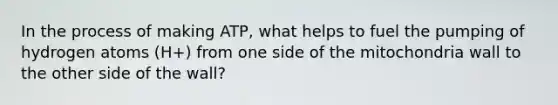 In the process of making ATP, what helps to fuel the pumping of hydrogen atoms (H+) from one side of the mitochondria wall to the other side of the wall?