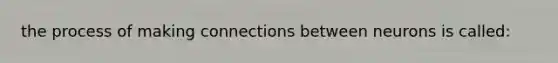 the process of making connections between neurons is called: