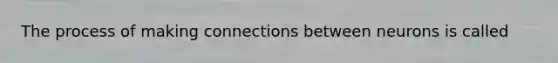 The process of making connections between neurons is called