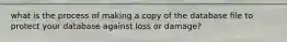 what is the process of making a copy of the database file to protect your database against loss or damage?