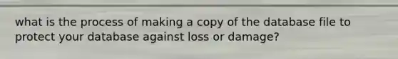 what is the process of making a copy of the database file to protect your database against loss or damage?