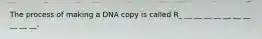 The process of making a DNA copy is called R_ __ __ __ __ __ __ __ __ __ __.