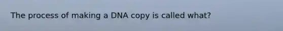 The process of making a DNA copy is called what?