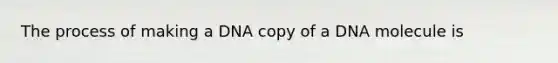 The process of making a DNA copy of a DNA molecule is