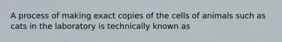 A process of making exact copies of the cells of animals such as cats in the laboratory is technically known as