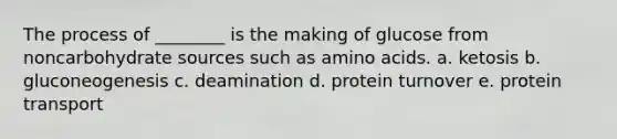 The process of ________ is the making of glucose from noncarbohydrate sources such as amino acids. a. ketosis b. gluconeogenesis c. deamination d. protein turnover e. protein transport