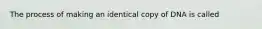 The process of making an identical copy of DNA is called