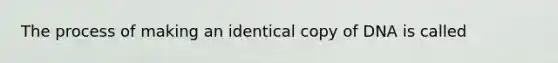 The process of making an identical copy of DNA is called