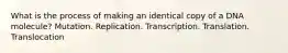 What is the process of making an identical copy of a DNA molecule? Mutation. Replication. Transcription. Translation. Translocation