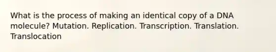 What is the process of making an identical copy of a DNA molecule? Mutation. Replication. Transcription. Translation. Translocation