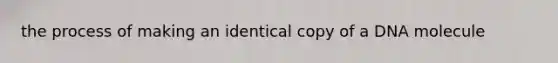 the process of making an identical copy of a DNA molecule