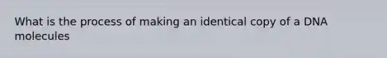 What is the process of making an identical copy of a DNA molecules