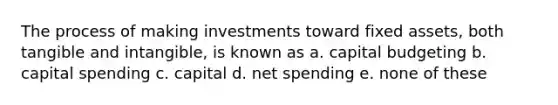 The process of making investments toward fixed assets, both tangible and intangible, is known as a. capital budgeting b. capital spending c. capital d. net spending e. none of these