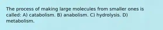 The process of making large molecules from smaller ones is called: A) catabolism. B) anabolism. C) hydrolysis. D) metabolism.