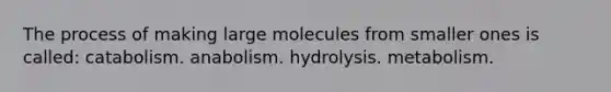 The process of making large molecules from smaller ones is called: catabolism. anabolism. hydrolysis. metabolism.