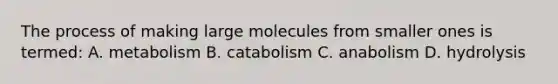 The process of making large molecules from smaller ones is termed: A. metabolism B. catabolism C. anabolism D. hydrolysis