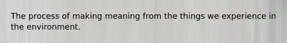 The process of making meaning from the things we experience in the environment.