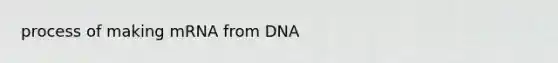 process of making mRNA from DNA