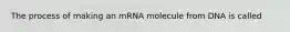 The process of making an mRNA molecule from DNA is called