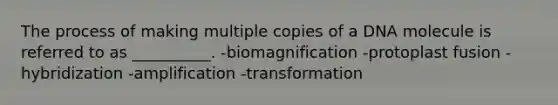 The process of making multiple copies of a DNA molecule is referred to as __________. -biomagnification -protoplast fusion -hybridization -amplification -transformation